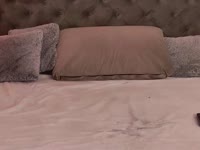 Hello Lovers,thank you for visiting my room and welcome to my profile!I am very excited to have my own sexy place to showcase all what I can offer!My chat room is a place full of sexy fun, teasing and more. I have no boundaries and its less possible that I will say no.I am sensual, erotic and very physical. I enjoy teasing, dancing and moving these sexy curves driving your crazy! I am not shy to talk dirty, and if you get me in the mood, theres no telling what will come out of that pretty mouth.Lets have fun in my chatroom and allow me to fulfil your desires!