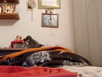 Sono una ragazza molto vogliosa, amo il sesso